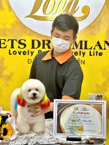 Home dao tao groomer
